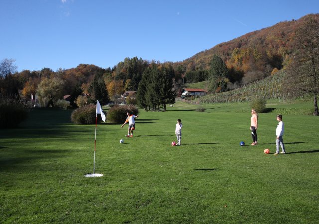 FootGolf/FEVZ1002.JPG