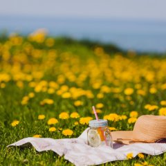 Maj&oacute;wka Warszawa 2026 &ndash; jak zaplanować idealny city break?