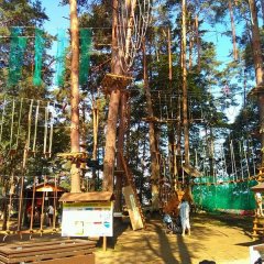 Park Linowy Lemur Augustów