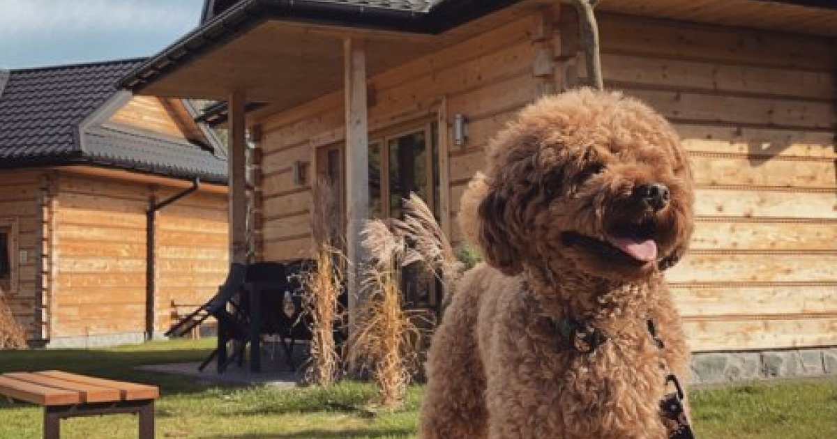 Bac&oacute;wka Radawa****