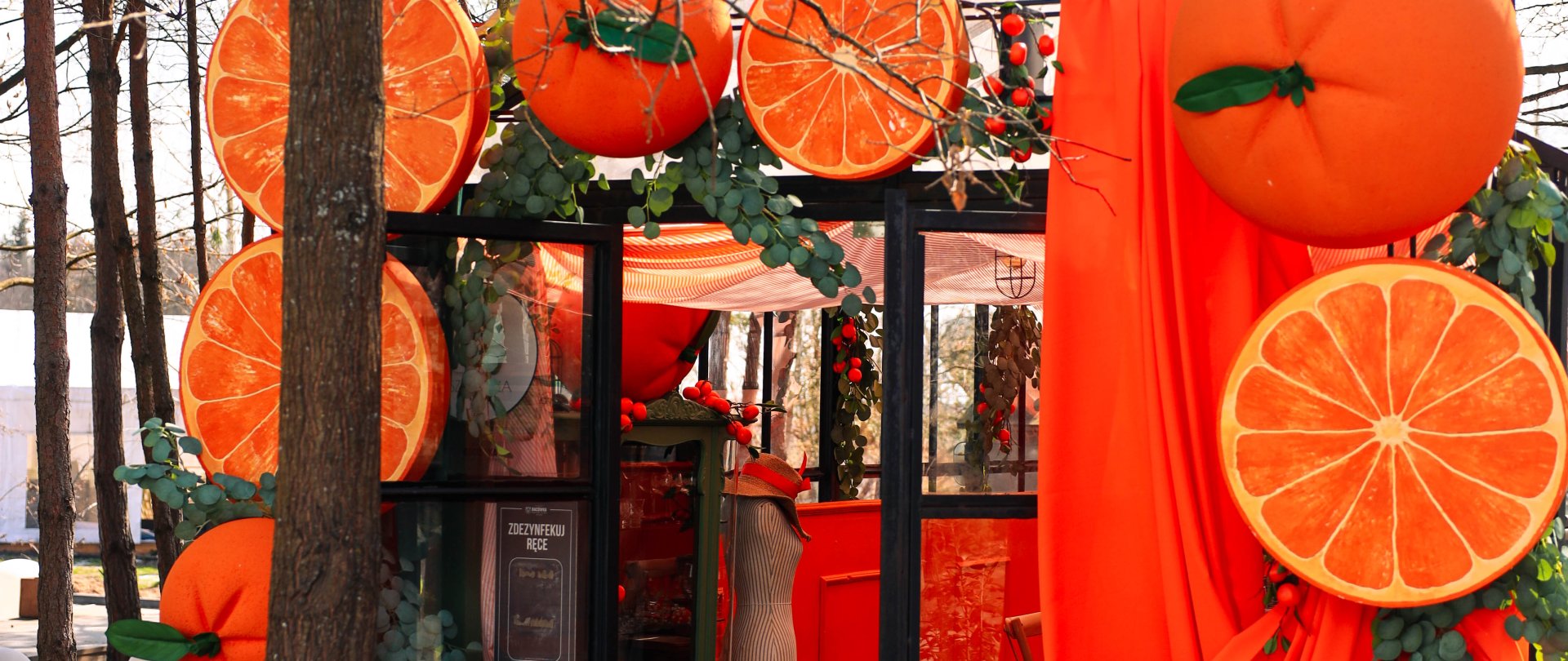 Zorganizuj przyjęcie w szklarni Dolce Vita – już otwarta!