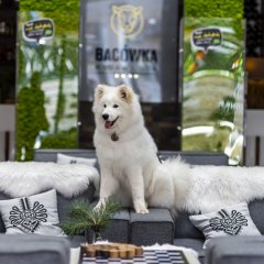 Zabierz psa na urlop – Bacówka to miejsce przyjazne czworonogom