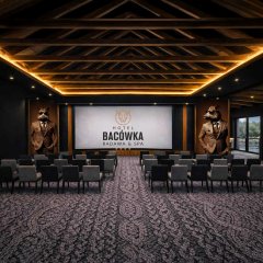 Sala konferencyjna Dzik – NOWOŚĆ od września!