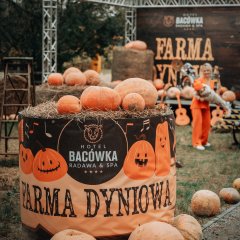 Farma Dyniowa w stylu Western Town