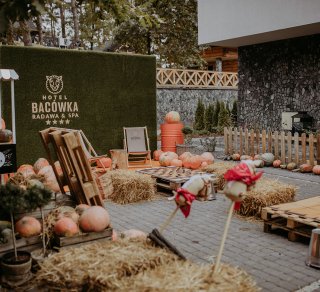 W Bacówce została otwarta Farma Dyniowa!