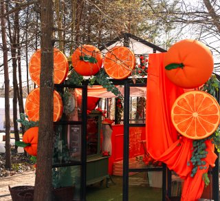 Zorganizuj przyjęcie w szklarni Dolce Vita &ndash; już otwarta!