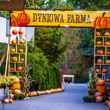 Atrakcje zewnętrzne