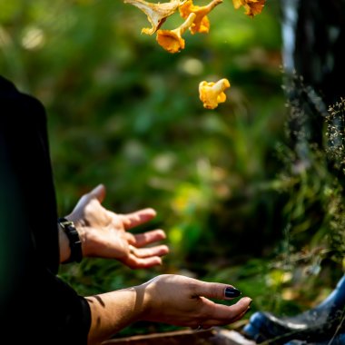 Atrakcje zewnętrzne