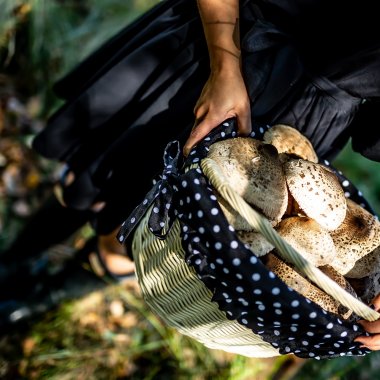 Atrakcje zewnętrzne