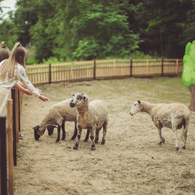 Atrakcje zewnętrzne
