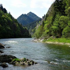 Dunajec rafting - traditional