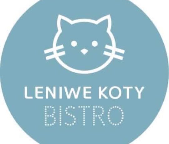 Leniwe Koty Bistro -10% rabatu