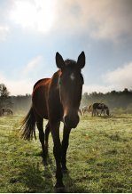 Bądź na bieżąco z najnowszymi wydarzeniami i promocjami!