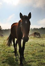 Bądź na bieżąco z najnowszymi wydarzeniami i promocjami!