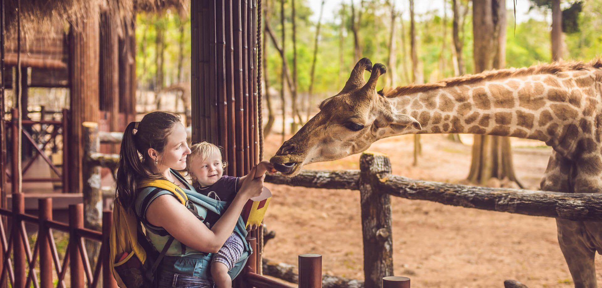 Najpiękniejsze zoo w Polsce – które warto odwiedzić?