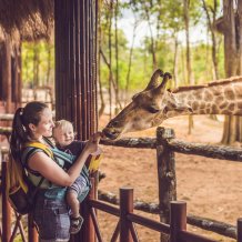 Najpiękniejsze zoo w Polsce – które warto odwiedzić?