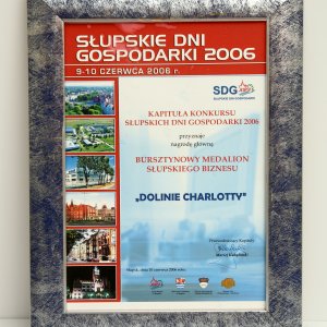 Nagrody i wyróżnienia