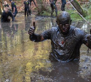 DIVERSITY OF ATTRACTIONS