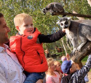 ANNNEHMLICHKEITEN FÜR FAMILIEN MIT KINDERN