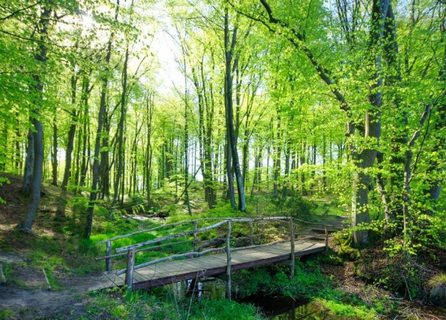 Co jeszcze oferujemy?