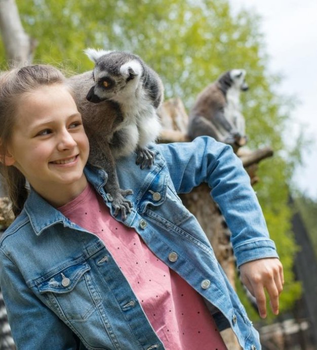 <span>Wassersafari</span>