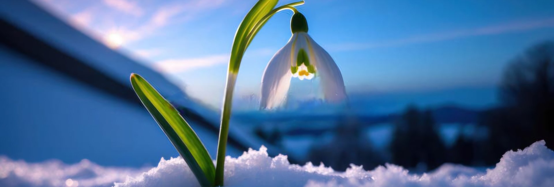 Museumsfrühling am 22.03.2026 in Wernigerode 