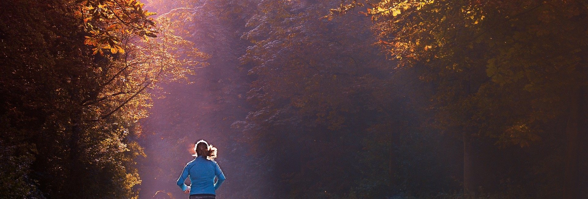 43. Harz-Gebirgslauf in Wernigerode