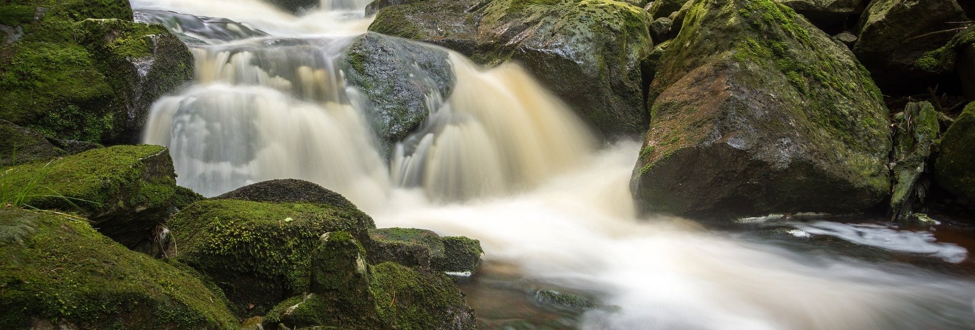 24h Wandertrophy in Wernigerode