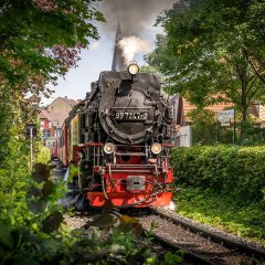 Mehr als nur eine Zugfahrt: