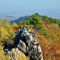 24h Wandertrophy in Wernigerode