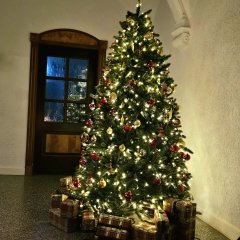 Tannenbaum und Lichterglanz