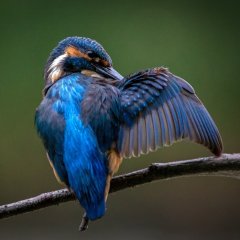Goldener Herbst im Harz