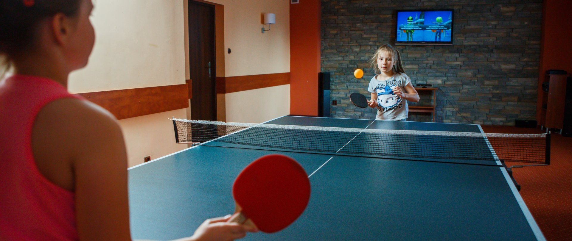 Ping pong table