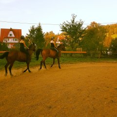A horse riding center „Dyzma” (4km)