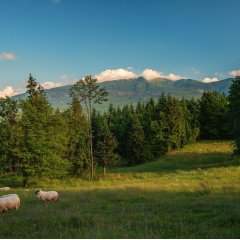 Integracyjny wyjazd w góry