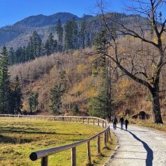 Górski Raj dla Przygód Rodzinnych: Szlaki, Zabawa i Niesamowite Wspomnienia