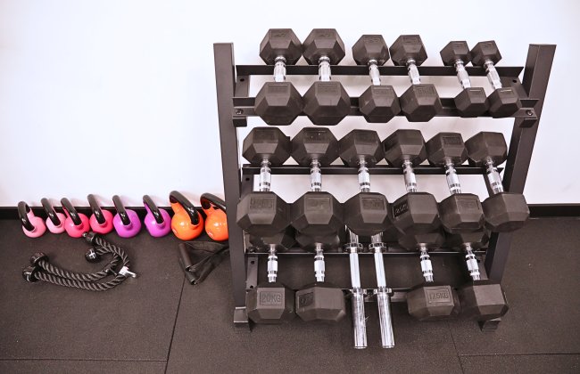 Free weights zone