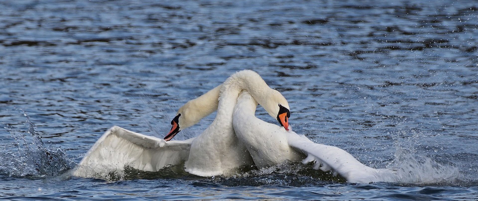 Najpiękniejsze miejsca nad jeziorem Tałty, które warto zobaczyć podczas pobytu w okolicy Mikołajek