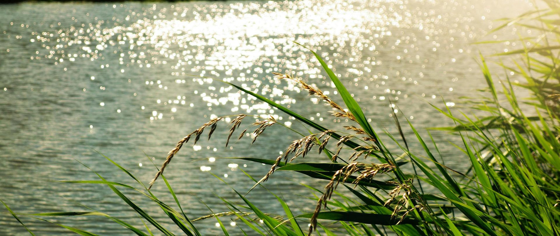 Mazury w kwietniu – podziwiaj wiosnę, która budzi się do życia