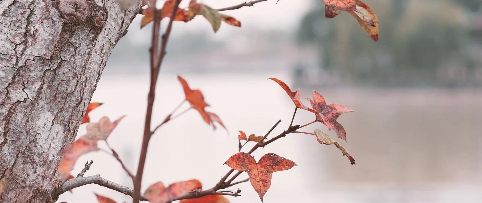 Мазуры в ноябре. Сделай передышку во время длинных выходных!
