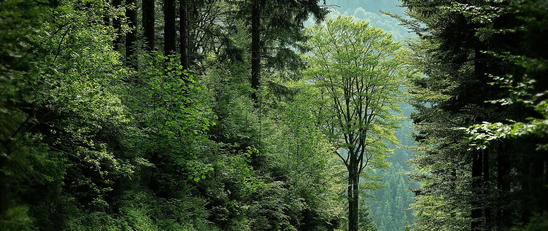 Gdzie pójść na spacer w Mikołajkach?
