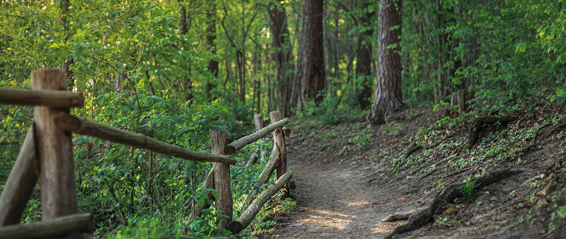 Spacerowe trasy wokół mazurskich jezior – propozycje dla każdego, bez względu na kondycję