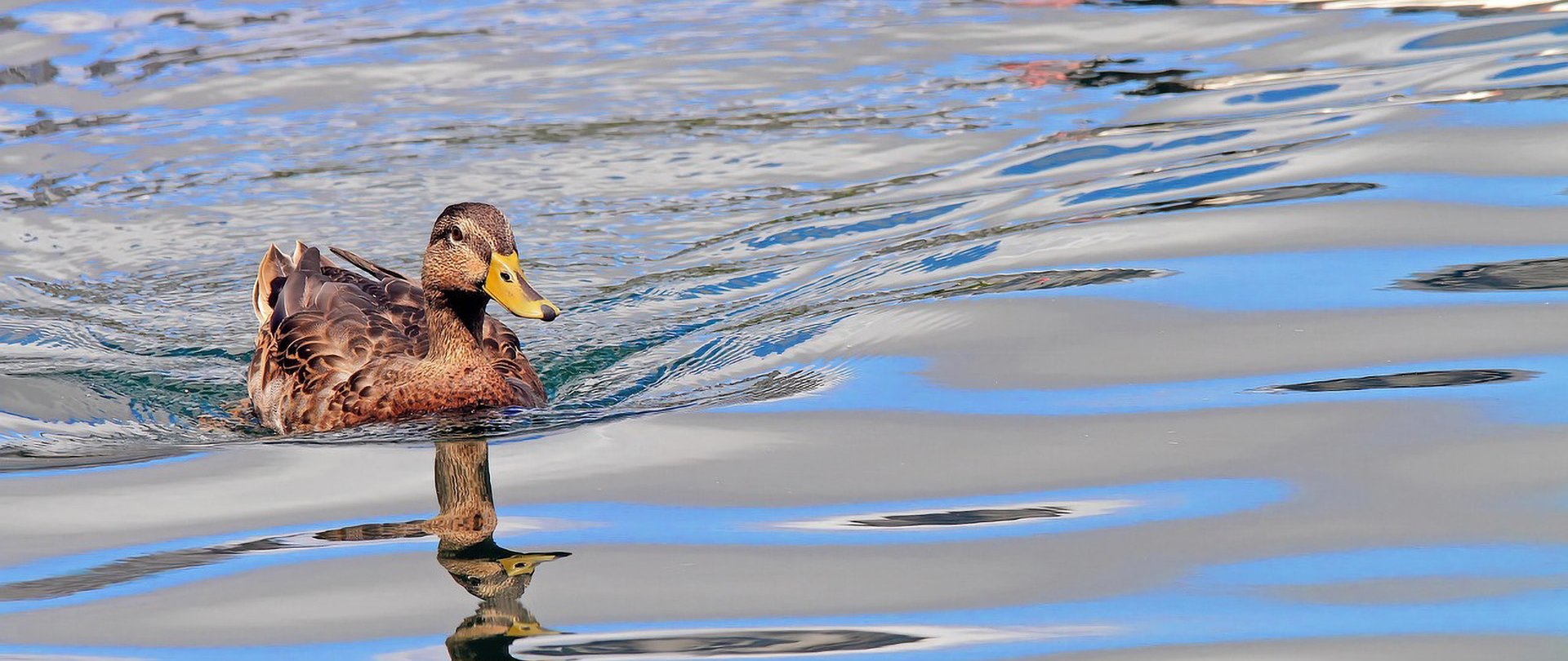 Dlaczego spacery nad jeziorem są jedną z najlepszych form odpoczynku na Mazurach?