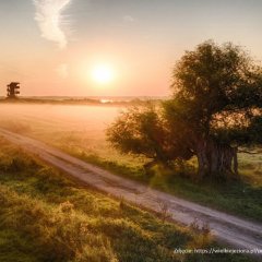 The Masurian Cycle Loop