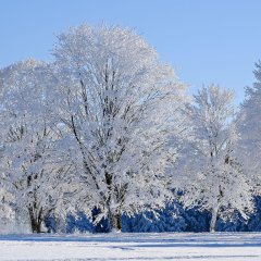 Lohnt es sich, auch nach der Sommersaison nach Masuren zu kommen?