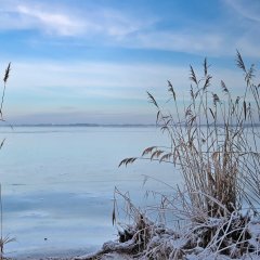 Masuren im Januar - Champagner-Spaß oder ruhige Entspannung?