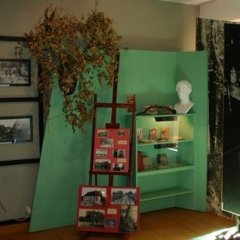 Muzeum Konstantego Ildefonsa Gałczyńskiego