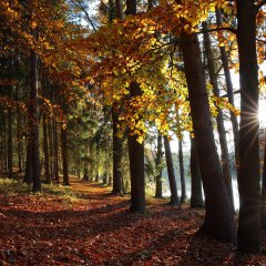 Wie verändert sich Masuren im Laufe der Jahreszeiten?