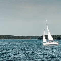 Co warto wiedzieć o Regatach Robert's Port Cup w 2026 roku?