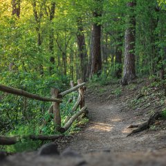 Spacerowe trasy wokół mazurskich jezior – propozycje dla każdego, bez względu na kondycję